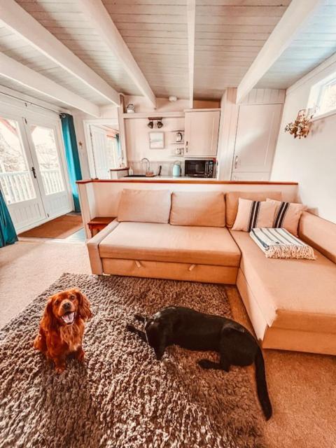 Blankednick Boltholes - 3 Beautiful Family Or Couples Cornish Getaways Villa Truro Esterno foto
